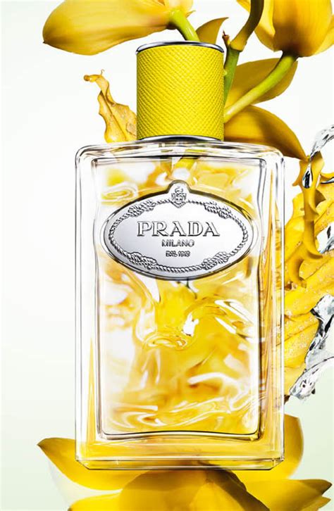 prada infusion d'ylang.